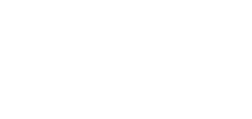 The Trip Band Logo